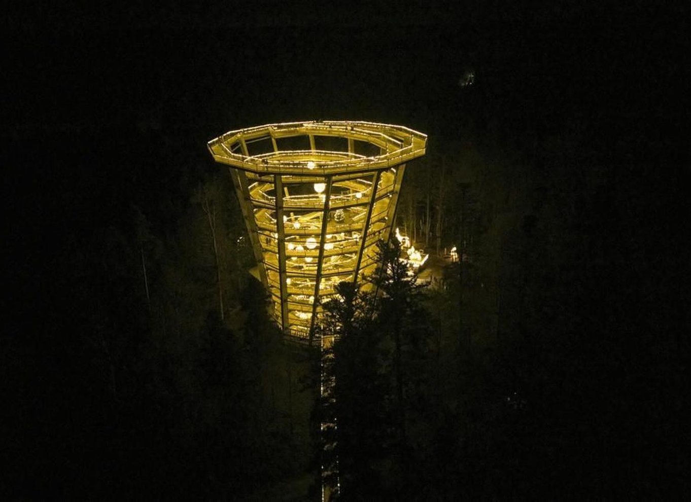 Schwarzwald: Treetop Walk & Lookout Tower Experience