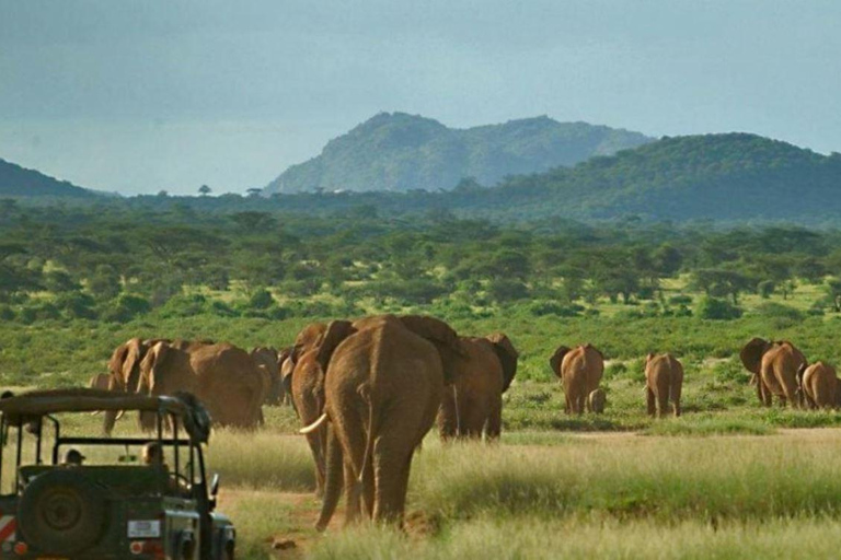 12-tägige Südafrika-Tour von Johannesburg nach Kapstadt