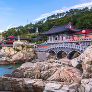 Busan: Top Attractions Authentic One-Day Guided Tour