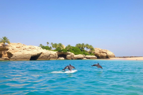Salalah: Dolphin Watching Cruise