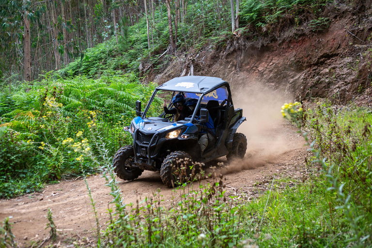 Madeira: Trail Thrill Buggy-tur