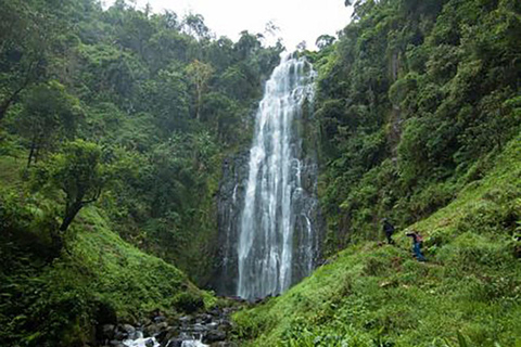 Moshi: Materuni Waterfall and Coffee Tour with Lunch