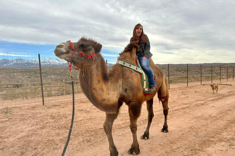 Las Vegas: Desert Camel Ride