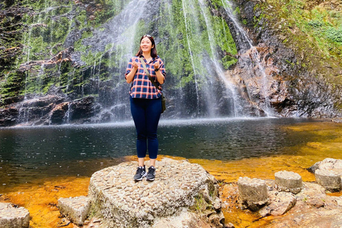 Chauffeured Ride to Silver and Love Waterfall, Lonely Tree