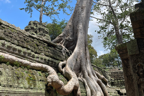 Visite en petit groupe au lever du soleil sur Angkor Wat à Siem Reap