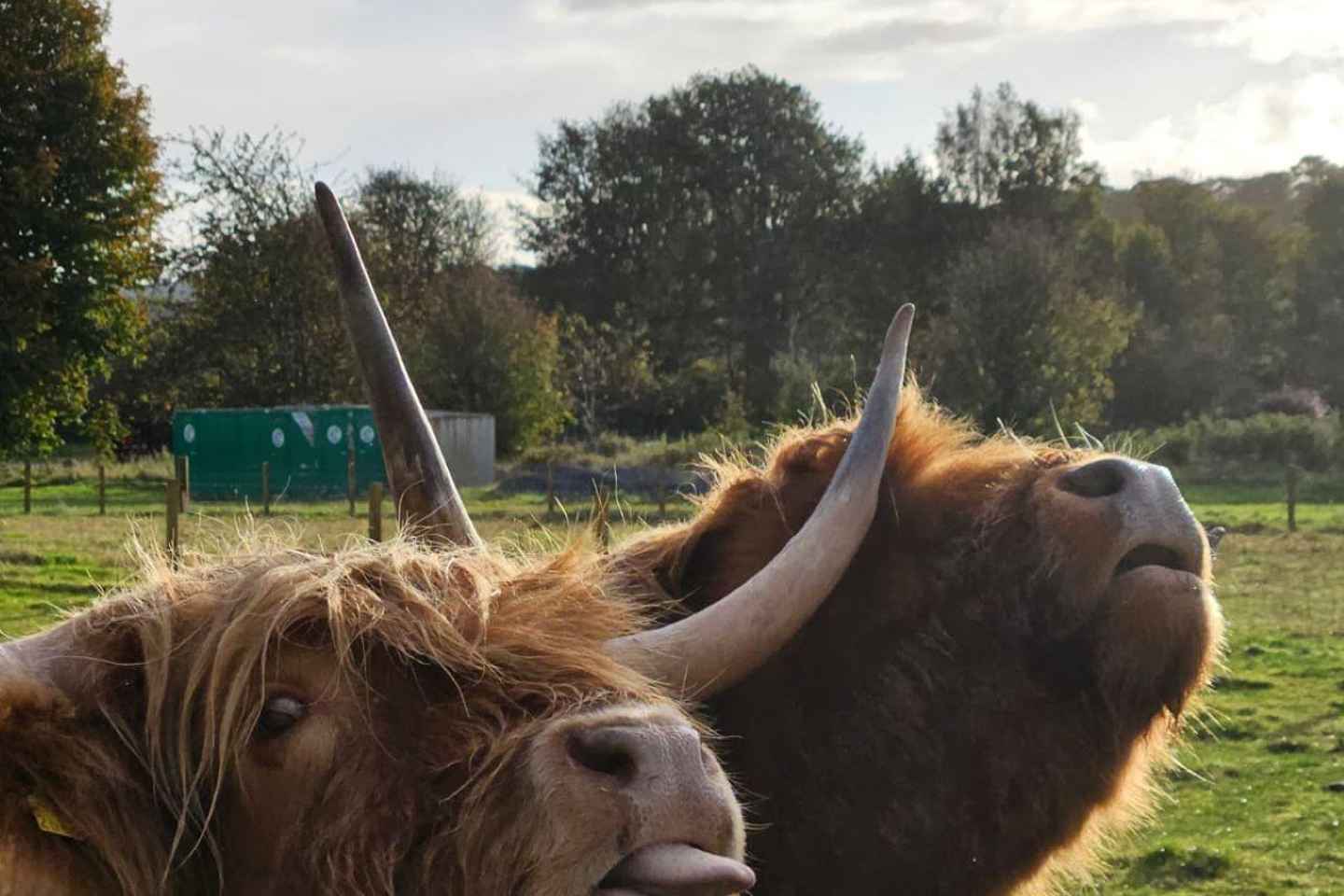 Инвергордон, поле Куллоден и озеро Лох-Несс