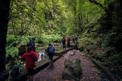Madeiras versteckte Ecken: geführte Wanderung zur Levada do Rei