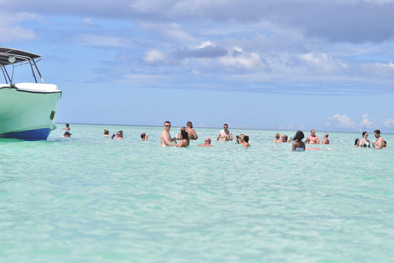 Punta cana: Saona Island and natural pool experience