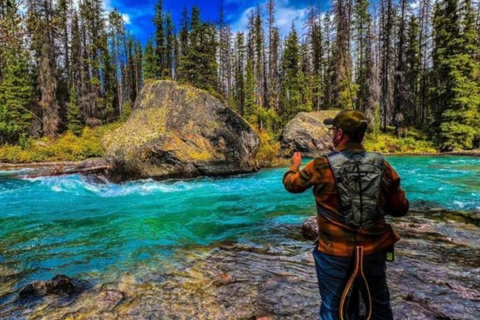 Lake Louise, Moraine, Emerald Lake, Johnston Canyon e Banff Town