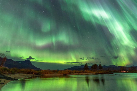 Tromsö: Norrskenstur med lokal guide och foton