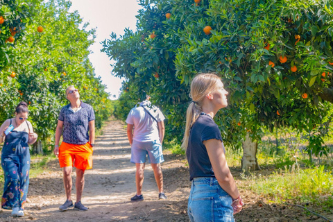 Side: Full-Day Mix Tour to Green Canyon with Boat & Lunch