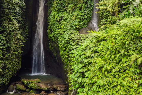 Bali: Nord Bali Tour mit Jatiluwih, Ulun Danu, Wasserfall.