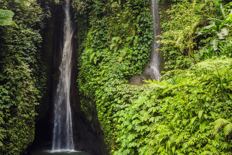 Bali : Visite du nord de Bali avec Jatiluwih, Ulun Danu, chutes d&#039;eau.