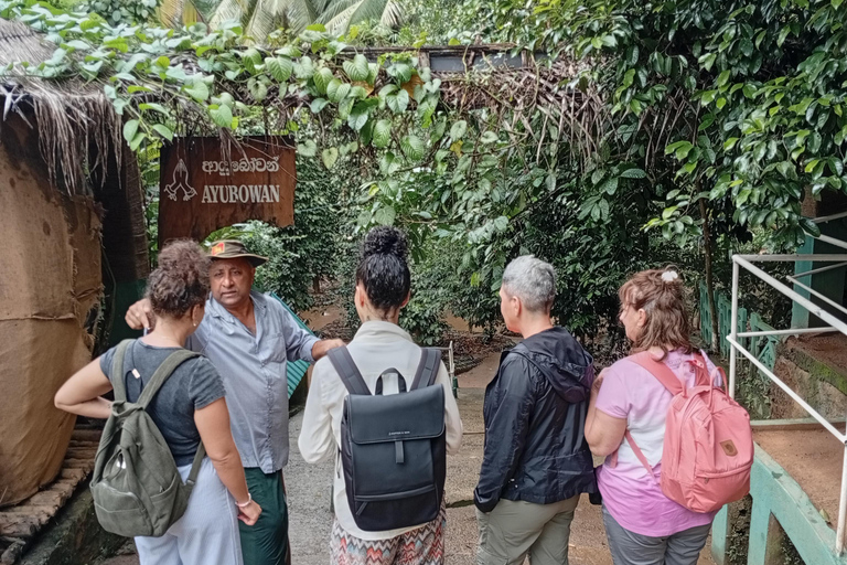 康提：香料园和手工艺人工作室嘟嘟车之旅