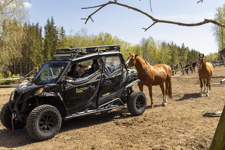 赫尔辛基：驯鹿公园与马厩私人游赫尔辛基：驯鹿公园与马厩私人导览游