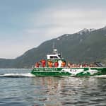 Vancouver: tour di osservazione balene all'aperto, Granville Island
