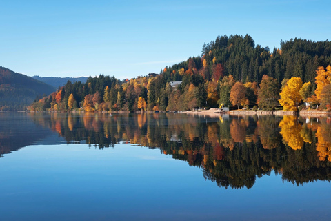 Rhine Falls and Black Forest Private Day Trip
