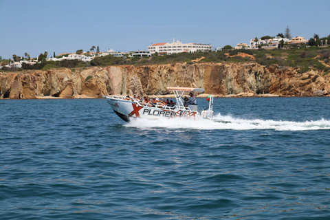 Benagil: Excursión de 2,5 horas por la costa y con delfines