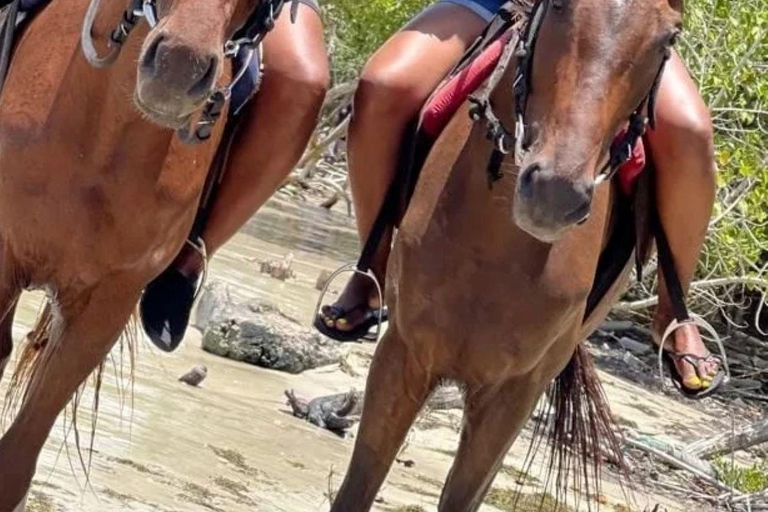 Ocho Ríos Aventura panorámica a caballo