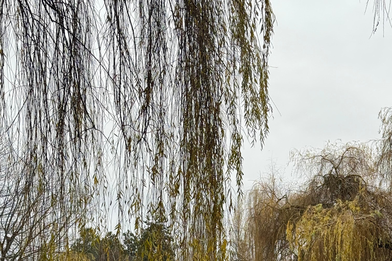 Vancouver: Hop-On Hop-Off City Tour by Car, Small Group