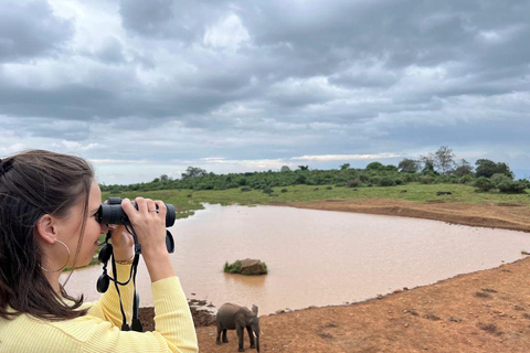 Nairobi: Overnight Adventure in Aberdare National Park