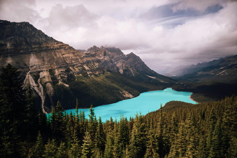Calgary: Columbia Icefield & Skywalk, Peyto, Bow & Glaciers