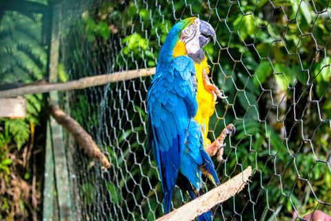 Cordoue : entrée au Centre de conservation Zoo CórdobaCordoue : Entrée au Centre de conservation du zoo de Cordoue