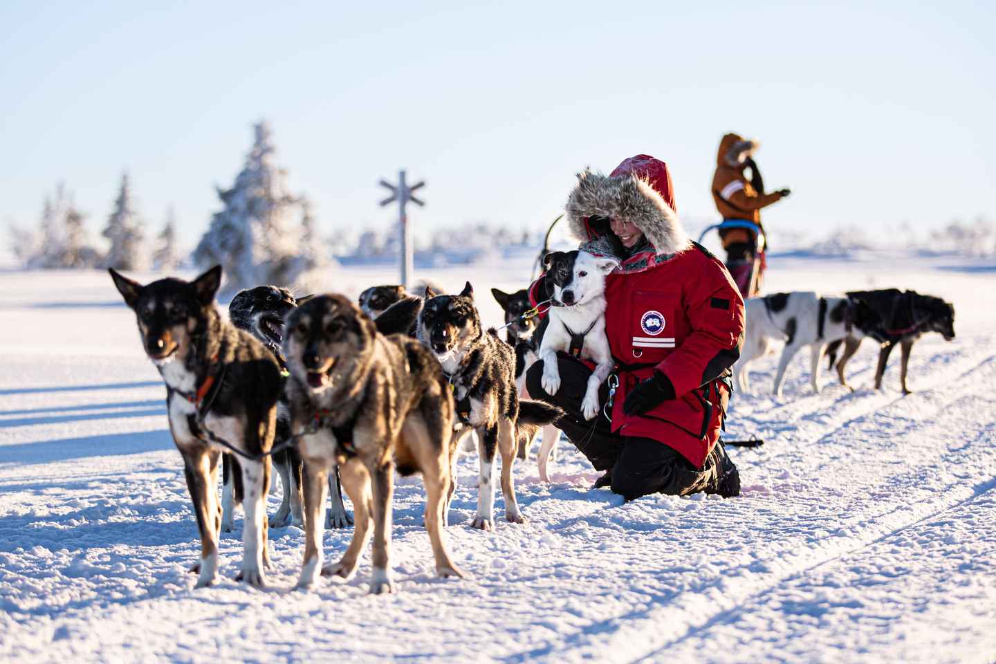 Bakvattnet: Husky Exclusive Tour Ansättenfjäll