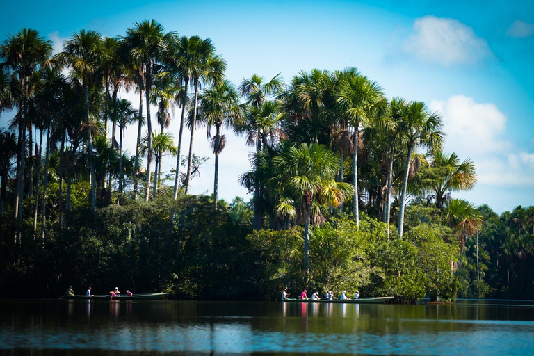 Puerto Maldonado: Jungle trekking + Sandoval Lake