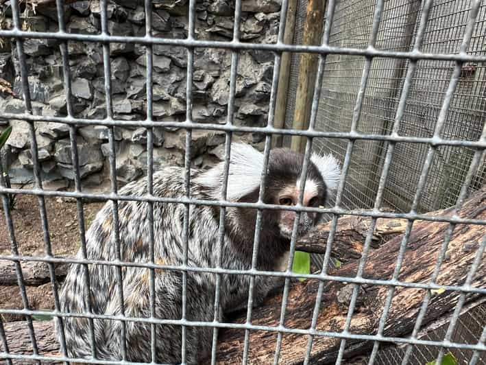 Small Group Wheel Ride, Aquarium, Bird Park, and Wine Tour GetYourGuide