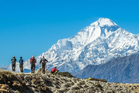 Da Pokhara: trekking economico del Campo Base dell&#039;Annapurna di 7 giorni