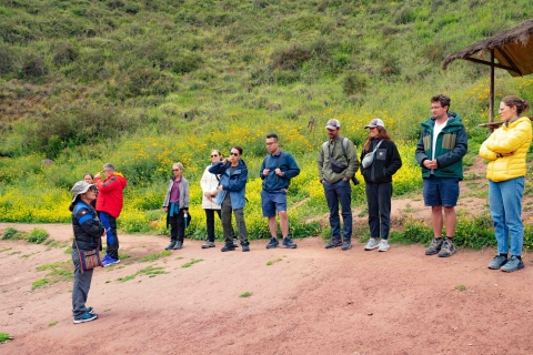 From Cusco: Sacred Valley and Moray Salt MinesWspólna wycieczka grupowa