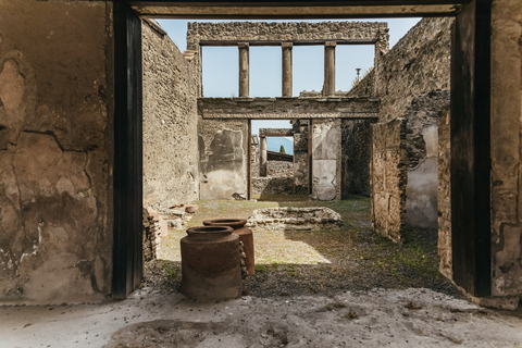 Vanuit Rome: Dagtrip Pompeii en de Vesuviusberg met lunchPompeii & Vesuvius met kegelwandeling