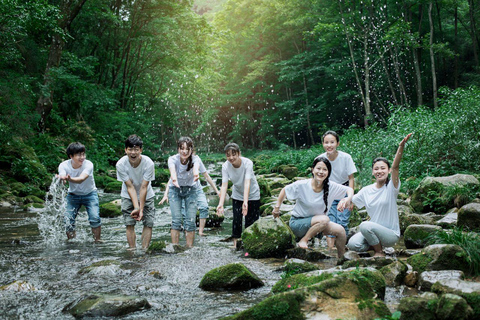 Zhangjiajie: National Forest Park 1-Day VIP Private Tour