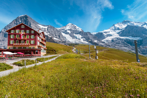 Kleingruppenreise Grindelwald-Scheidegg-LauterbrunnenGrindelwald-Scheidegg-Wengen-Lauterbrunnen Tagestour