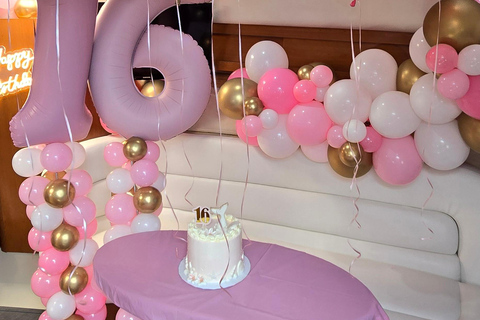 Yacht cruise Biscayne Bay, Miami Beach and Sand bar. 42Ft Yacht cruice Biscayne Bay, Miami Beach and Sand bar