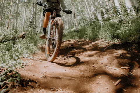 Downhill Mountain Biking in Kitulgala