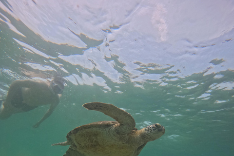 Mirissa Snorkeling Tour with Turtle Adventure and Free Video