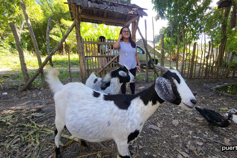 Dominican Republic Countryside Safari Tour from Puerto Plata