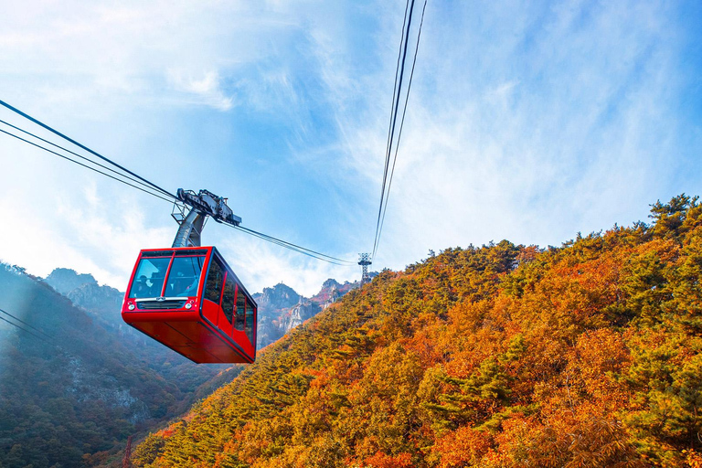 سيول: جولة يومية لمشاهدة أوراق الخريف في حديقة أودايسان أو دايدونسانجولة مشتركة لمشاهدة أوراق شجر 