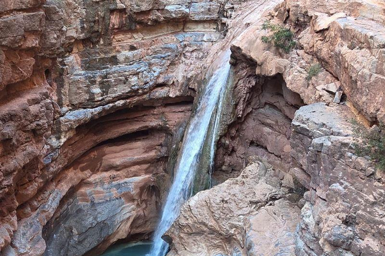 From Agadir/Taghazout: Paradise Valley Guided Tour with Hike