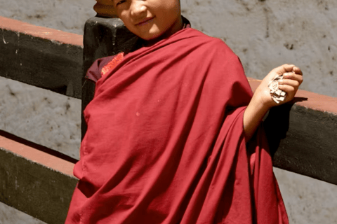 Pokhara: Queen Forest Hike to Santi Stupa & Lake Boating