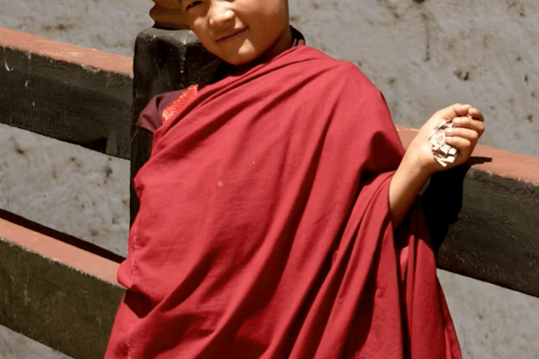 Pokhara: Queen Forest Hike to Santi Stupa & Lake Boating