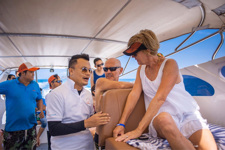 Koh Samui: Pig Island Tour by Speedboat with Snorkeling Private Tour or Cruise Ship Option