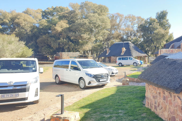 Cape Town: Cape Town Big Five Sunset Safari with Snacks