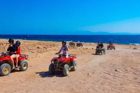 Vanuit Sharm: Dahab, Jeep, Canyon, Camel, Quad & Snorkel Tour
