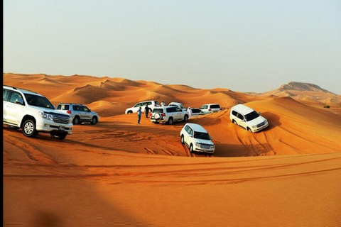 Doha: Full Day Desert Safari, BBQ Dinner, and Stargazing