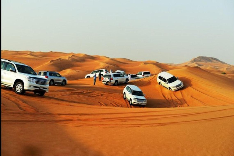 Doha: Full Day Desert Safari, BBQ Dinner, and Stargazing