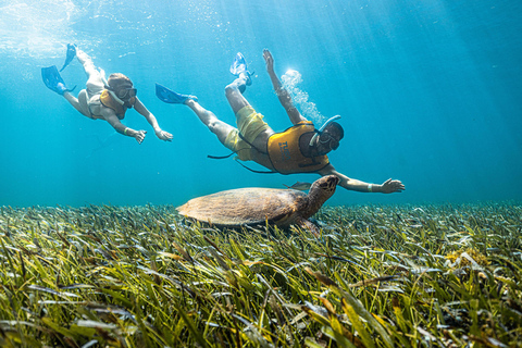 Esperienza di snorkeling in barca 5 in 1 a Cancun