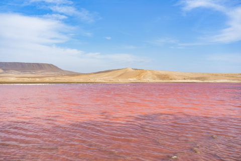 From Paracas: Private Tour to Laguna Rosada, Red Beach and La Catedral Option with direct arrival at the meeting point